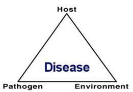 Disease Triangle