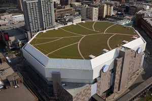 Urban green roof